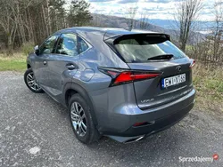 Grafitowy Używany 2021 Lexus NX300 SUV | 137 900 zł