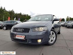 Szary (metalik, perła) Używany 2004 Audi A3 | 17 900 zł (Drogi)