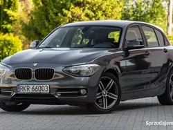 Szary Używany 2011 BMW 116 Sport Line Hatchback | 29 900 zł (Dość drogi)