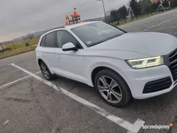 Używany 2019 Audi Q5 Ambiente SUV | 115 000 zł (Uczciwa cena)