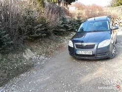 Używany 2008 Skoda Roomster Kombi | 4900 zł (Uczciwa cena)