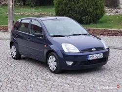 Używany 2004 Ford Fiesta Hatchback | 7900 zł (Drogi)