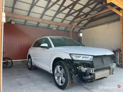 Używany 2019 Audi Q5 SUV | 73 500 zł