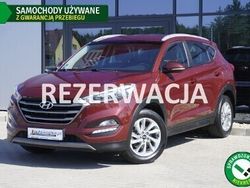 Czerwony Używany 2017 Hyundai Tucson SUV | 83 999 zł (Dość drogi)