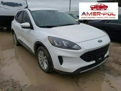 Biały Używany 2020 Ford Kuga SUV | 74 000 zł