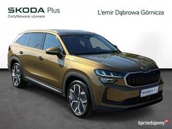 Złoty Używany 2024 Skoda Kodiaq Selection SUV | 156 900 zł (Dość drogi)