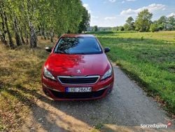 Używany 2015 Peugeot 308 | 17 500 zł (Super Cena)