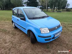 Używany 2004 Fiat Panda Hatchback | 3000 zł (Uczciwa cena)