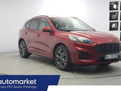 Czerwony Używany 2023 Ford Kuga ST-Line SUV | 142 850 zł