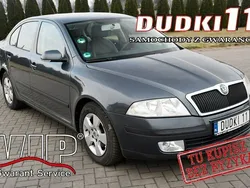 Szary Używany 2006 Skoda Octavia Hatchback | 9900 zł (Dobra cena)