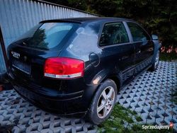 Grafitowy Używany 2005 Audi A3 Hatchback | 5500 zł (Super Cena)