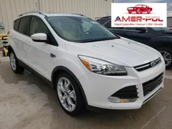 Biały Używany 2014 Ford Kuga Titanium SUV | 60 000 zł