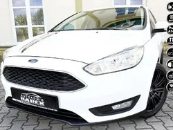 Biały Używany 2016 Ford Focus Hatchback | 26 499 zł (Super Cena)