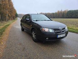 Czarny Używany 2002 Nissan Almera Hatchback | 2500 zł
