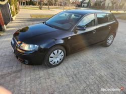 Używany 2007 Audi A3 | 17 500 zł (Uczciwa cena)
