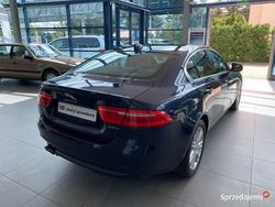 Używany 2017 Jaguar XE Prestige Sedan/Limuzyna | 68 900 zł (Super Cena)