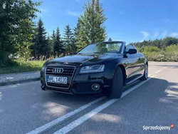 Czarny Używany 2009 Audi A5 Cabriolet S-Line Kabriolet | 32 000 zł