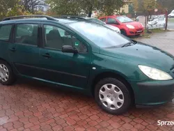 Zielony Używany 2002 Peugeot 307 Kombi | 7900 zł (Dość drogi)
