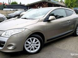 Szary Używany 2009 Renault Mégane Coupé Coupe | 18 400 zł