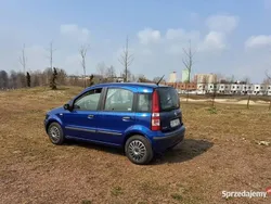 Niebieski Używany 2009 Fiat Panda Hatchback | 9990 zł (Dość drogi)