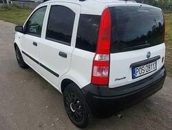 Biały Używany 2005 Fiat Panda Hatchback | 3500 zł (Uczciwa cena)
