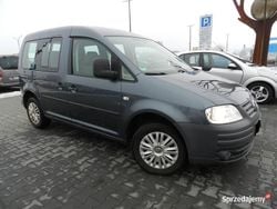 Grafitowy Używany 2008 VW Caddy Minivan | 16 900 zł (Dobra cena)