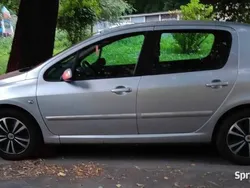 Srebrny Używany 2003 Peugeot 307 Hatchback | 5000 zł (Drogi)
