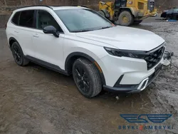 Szary Używany 2023 Honda CR-V SUV | 109 700 zł