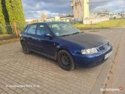 Używany 2000 Audi A3 | 3000 zł (Dobra cena)