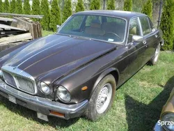 Używany 1984 Jaguar XJ12 Sedan/Limuzyna | 1234 zł