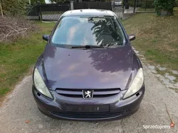 Fioletowy Używany 2002 Peugeot 307 Sport Hatchback | 9999 zł (Drogi)