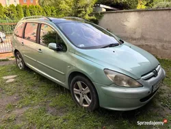 Niebieski Używany 2002 Peugeot 307 Kombi | 2400 zł (Uczciwa cena)