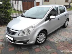Szary Używany 2010 Opel Corsa Hatchback | 6100 zł (Dobra cena)