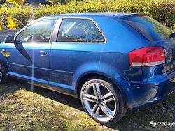 Używany 2004 Audi A3 | 1000 zł (Super Cena)