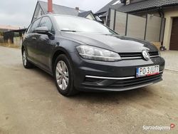 Używany 2019 VW Golf VII | 55 700 zł (Dość drogi)