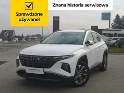 Biały Używany 2023 Hyundai Tucson SUV | 125 900 zł (Drogi)