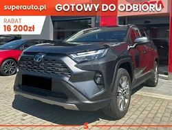Inny kolor Nowe 2025 Toyota RAV4 Hybrid Executive SUV | 205 600 zł (Drogi)