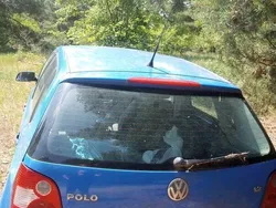 Niebieski Używany 2002 VW Polo Hatchback | 1000 zł (Super Cena)