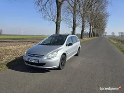 Używany 2004 Peugeot 307 | 6200 zł (Dość drogi)