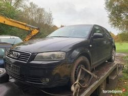 Używany 2004 Audi A3 | 1000 zł