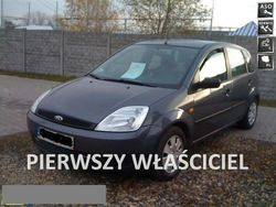 Szary Używany 2005 Ford Fiesta Hatchback | 14 100 zł (Drogi)