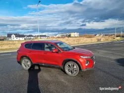 Używany 2019 Hyundai Santa Fe SUV | 135 000 zł (Drogi)