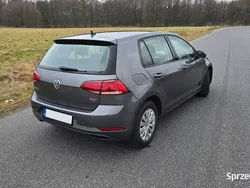 Grafitowy Używany 2017 VW Golf VII Hatchback | 44 200 zł (Uczciwa cena)