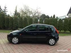 Granatowy Używany 2007 Ford Fiesta Hatchback | 7300 zł (Uczciwa cena)