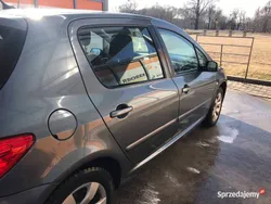 Szary Używany 2007 Peugeot 307 Hatchback | 11 200 zł (Drogi)