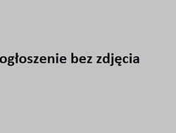 Czarny Używany 2015 Dacia Dokker Van | 24 900 zł (Uczciwa cena)