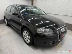 Czarny Używany 2006 Audi A3 Hatchback | 9999 zł (Uczciwa cena)