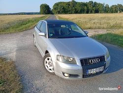 Srebrny Używany 2003 Audi A3 Hatchback | 8300 zł (Uczciwa cena)