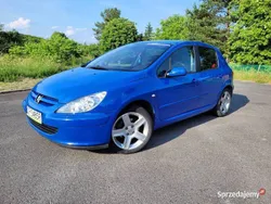 Niebieski Używany 2004 Peugeot 307 | 6000 zł (Dobra cena)