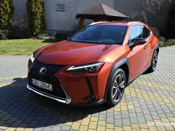 Pomarańczowy Używany 2019 Lexus UX SUV | 105 000 zł (Dość drogi)